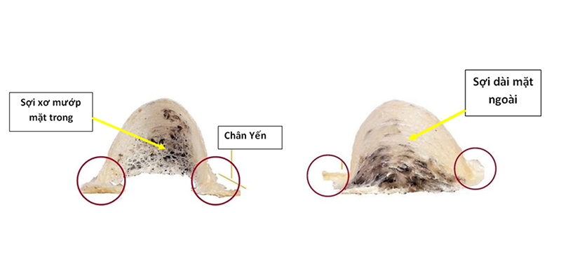 soi-yen-that-cau-truc-tu-nhien